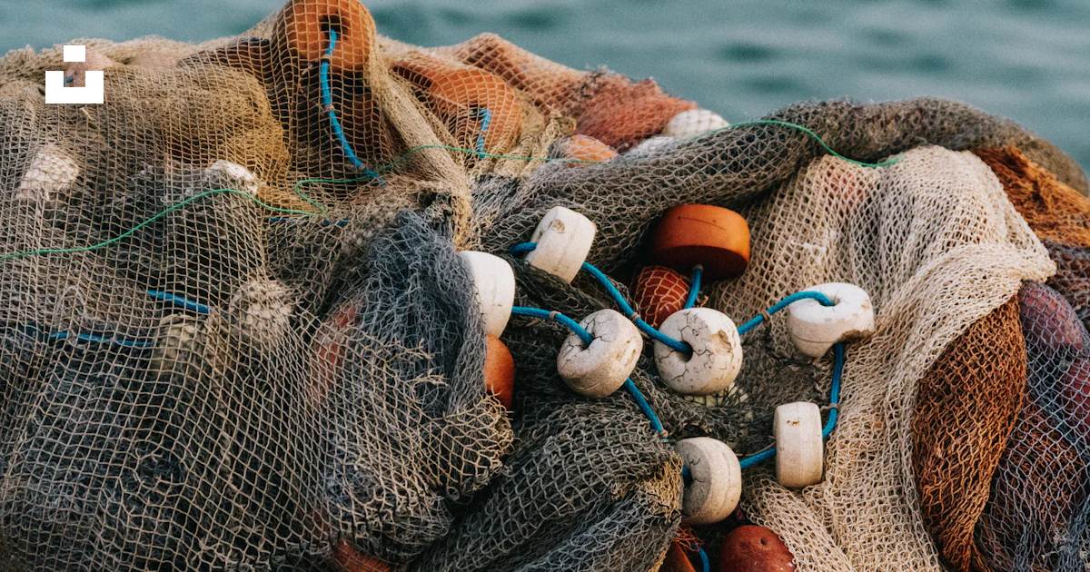 White and gray fish net 사진 – Unsplash의 무료 남자 이미지