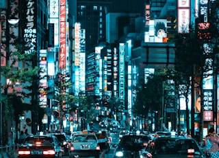 vehicles on roadway between lighted buildings at night