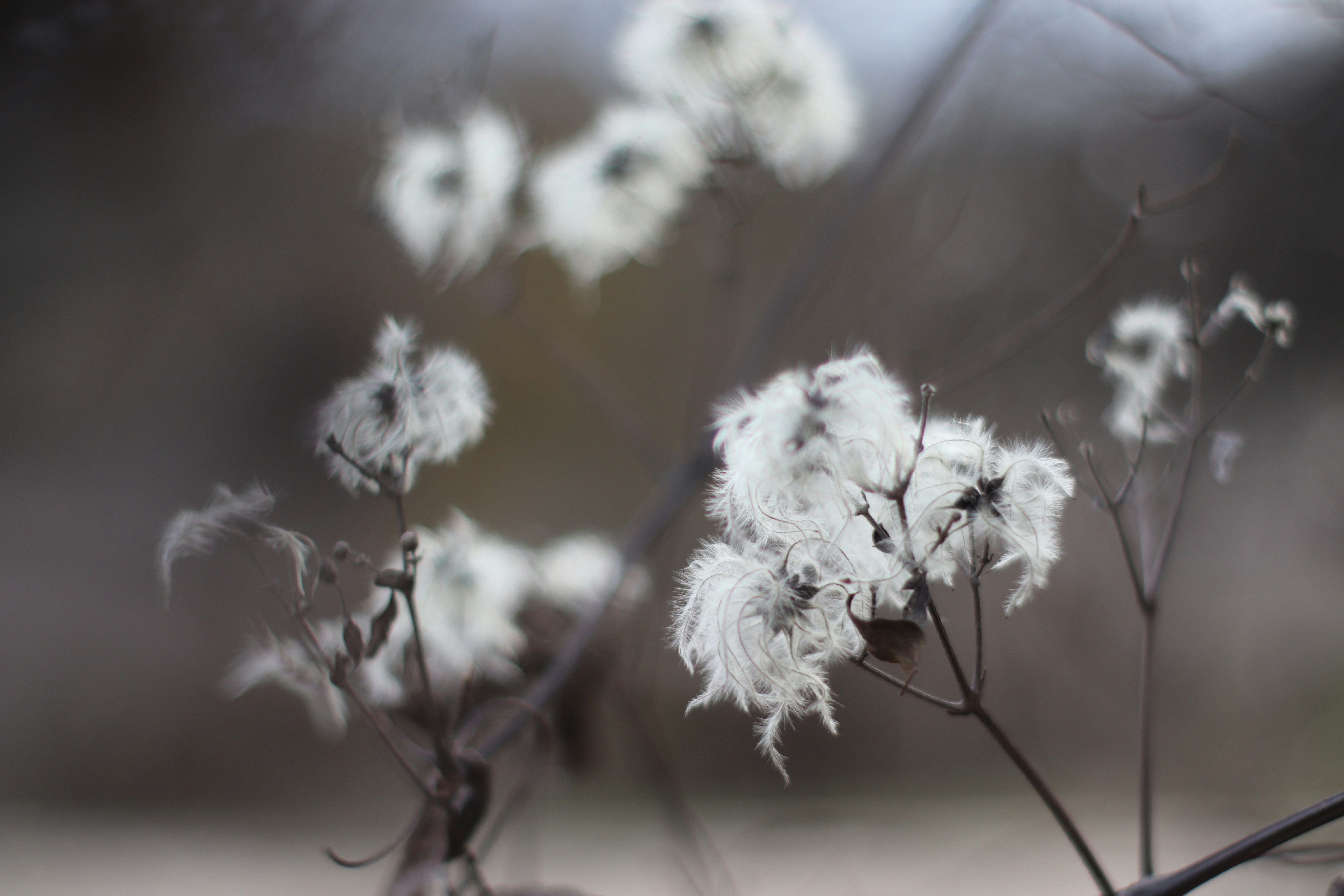 Photo by pierremataias