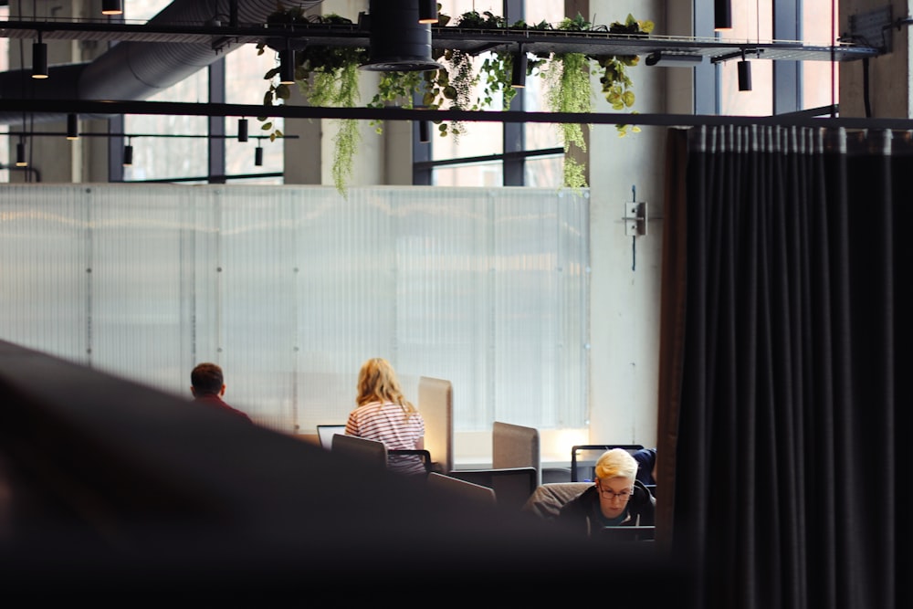 people using laptops inside building