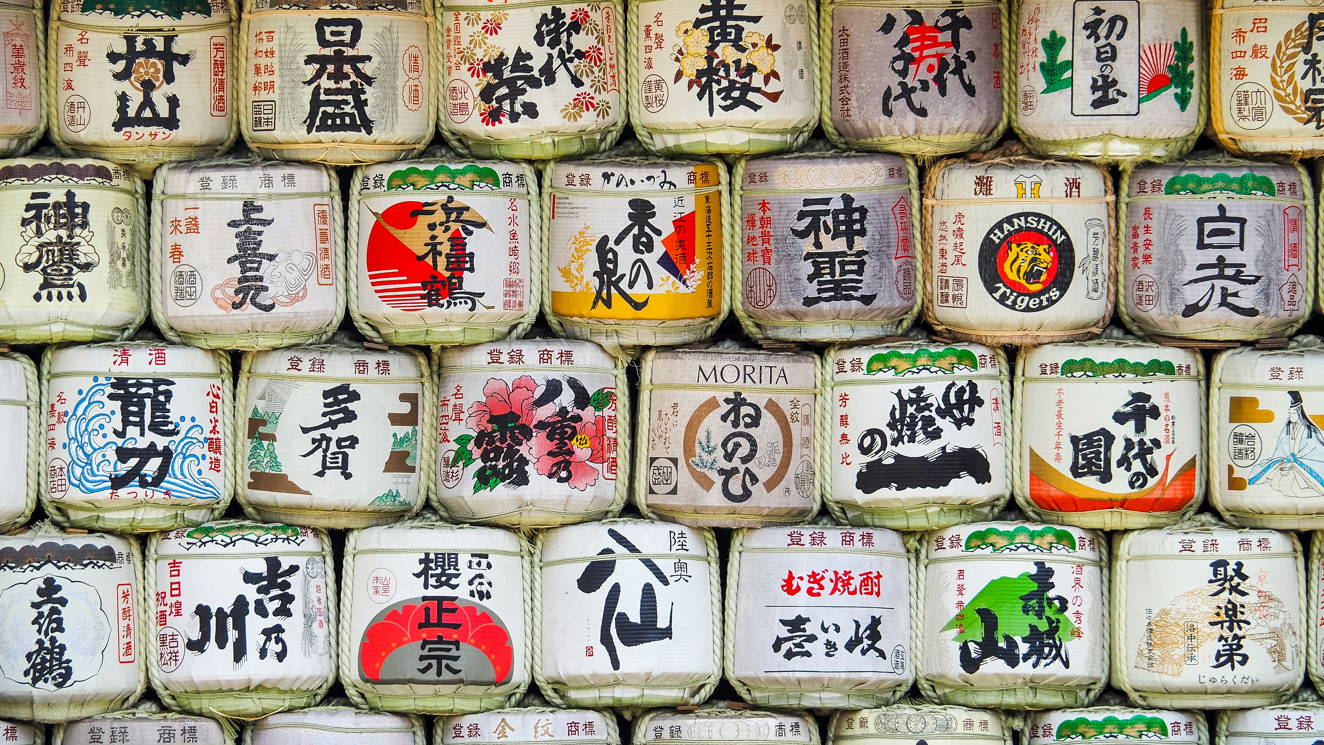 assorted-color pack lot