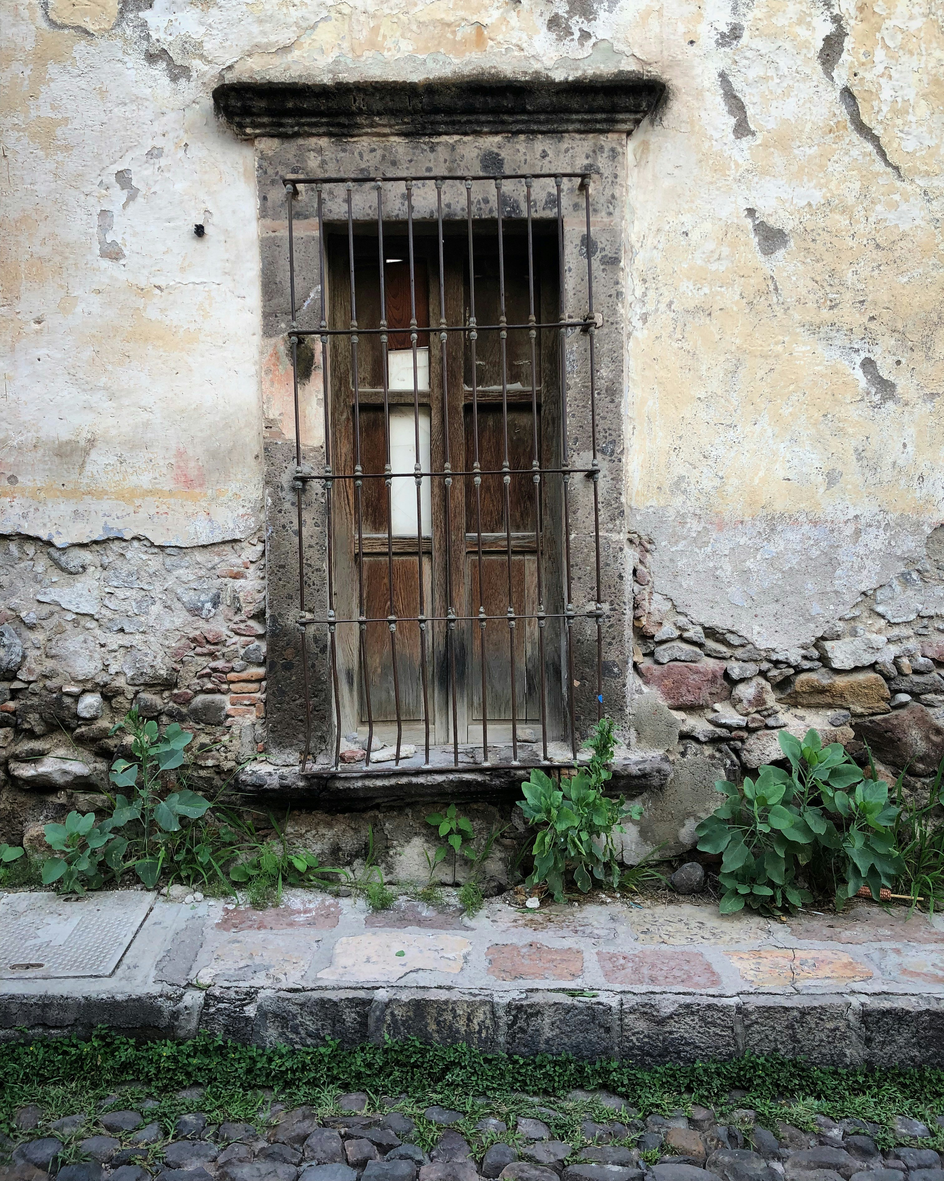 Photo by franciscobricio