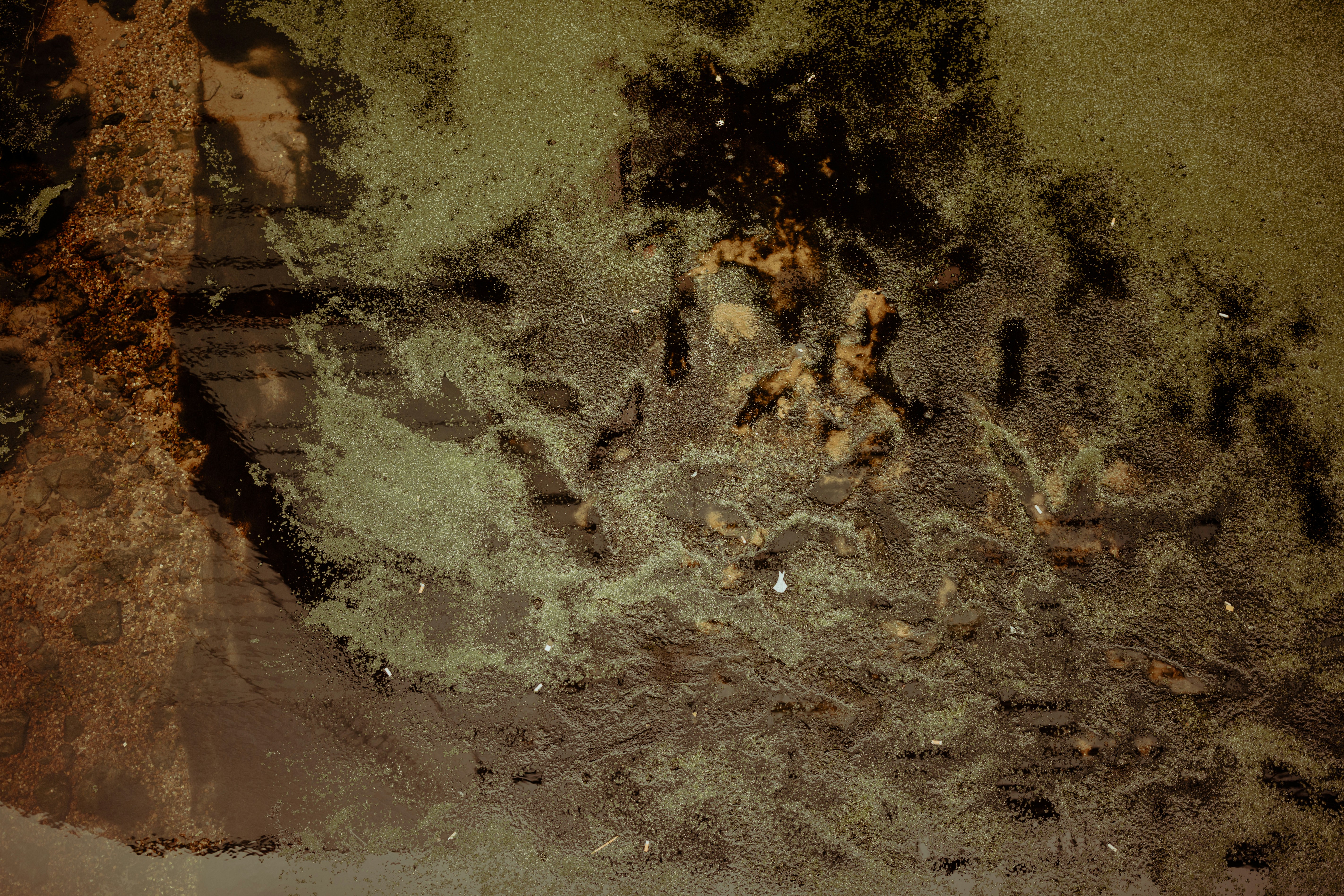 Photo by alekonpictures