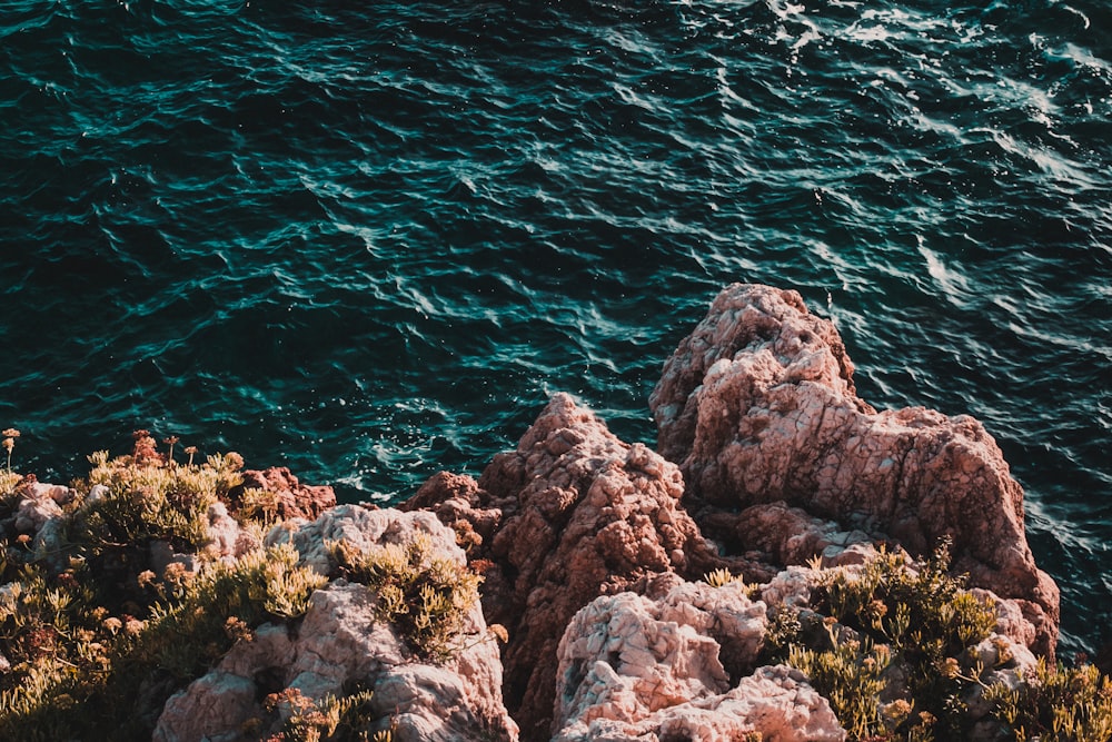 rocks by body of water during daytime