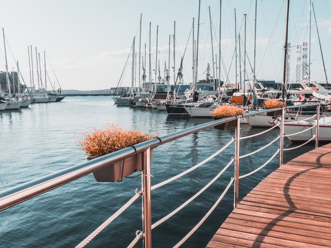 assorted-color boats on sea