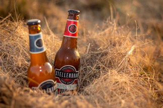 Two brown beer bottles are nestled in dry, golden grass. The labels on the bottles read 'Stellenbrau Craven Craft Lager' and feature a striking design. The sunlight casts a warm glow, enhancing the earthy and rustic atmosphere.