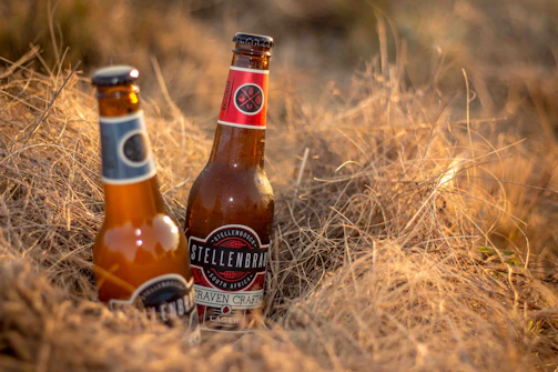 Two brown beer bottles are nestled in dry, golden grass. The labels on the bottles read 'Stellenbrau Craven Craft Lager' and feature a striking design. The sunlight casts a warm glow, enhancing the earthy and rustic atmosphere.