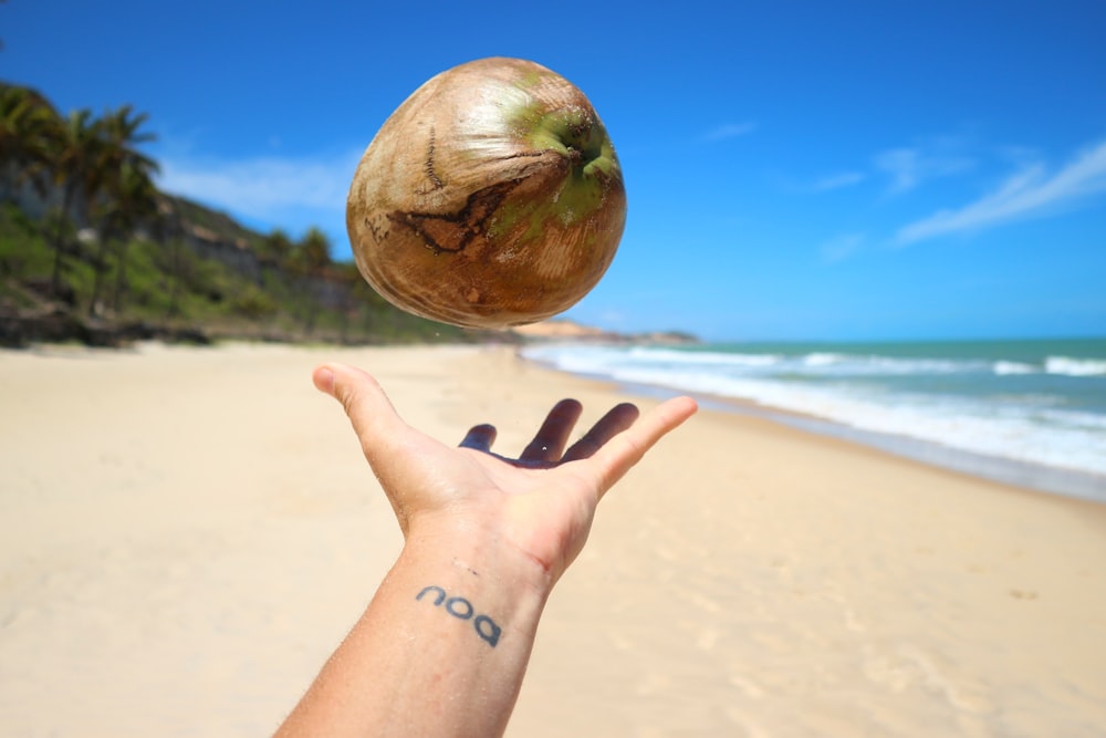 person catching coconut fruit at beach during daytime