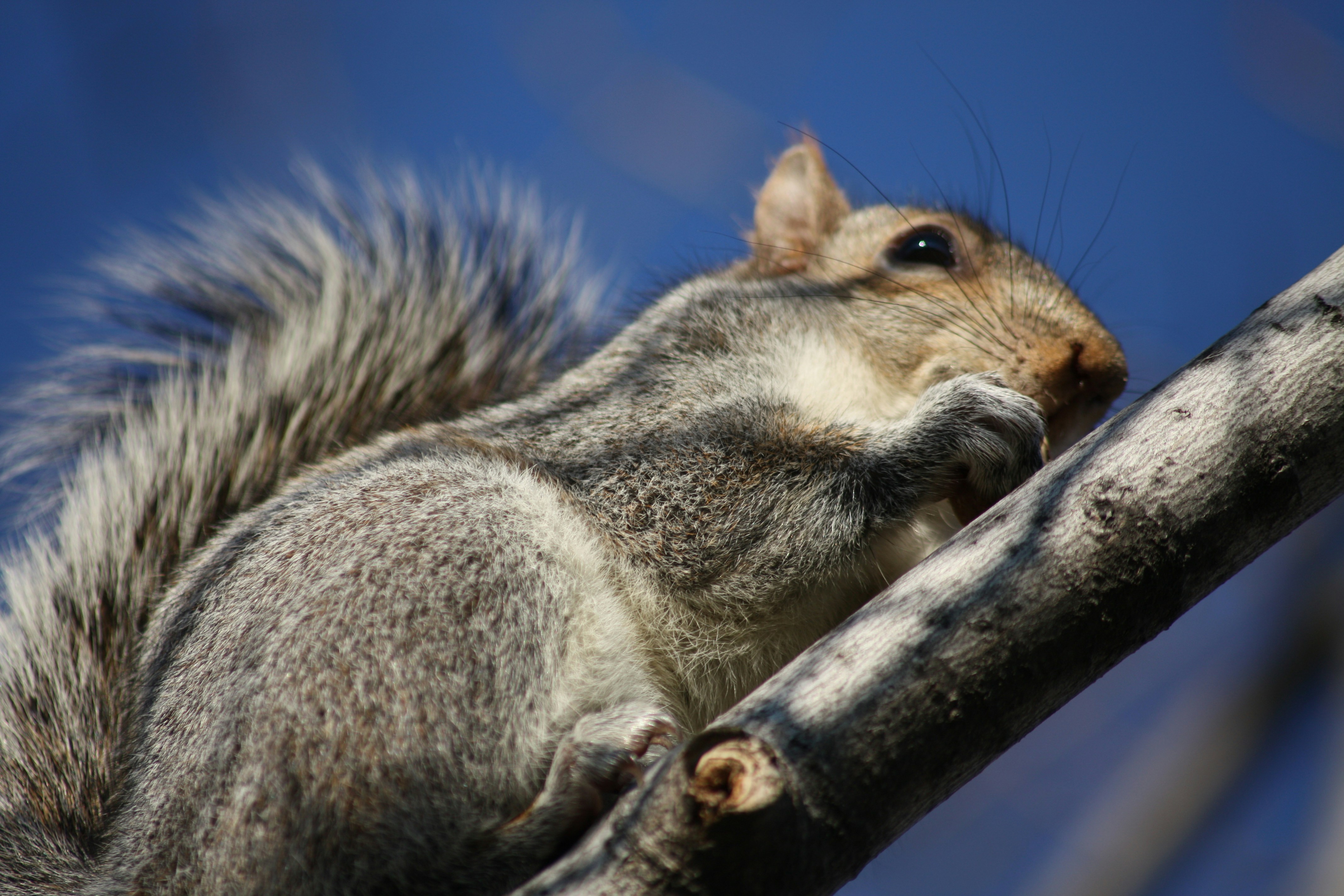 Photo by leonoverweel