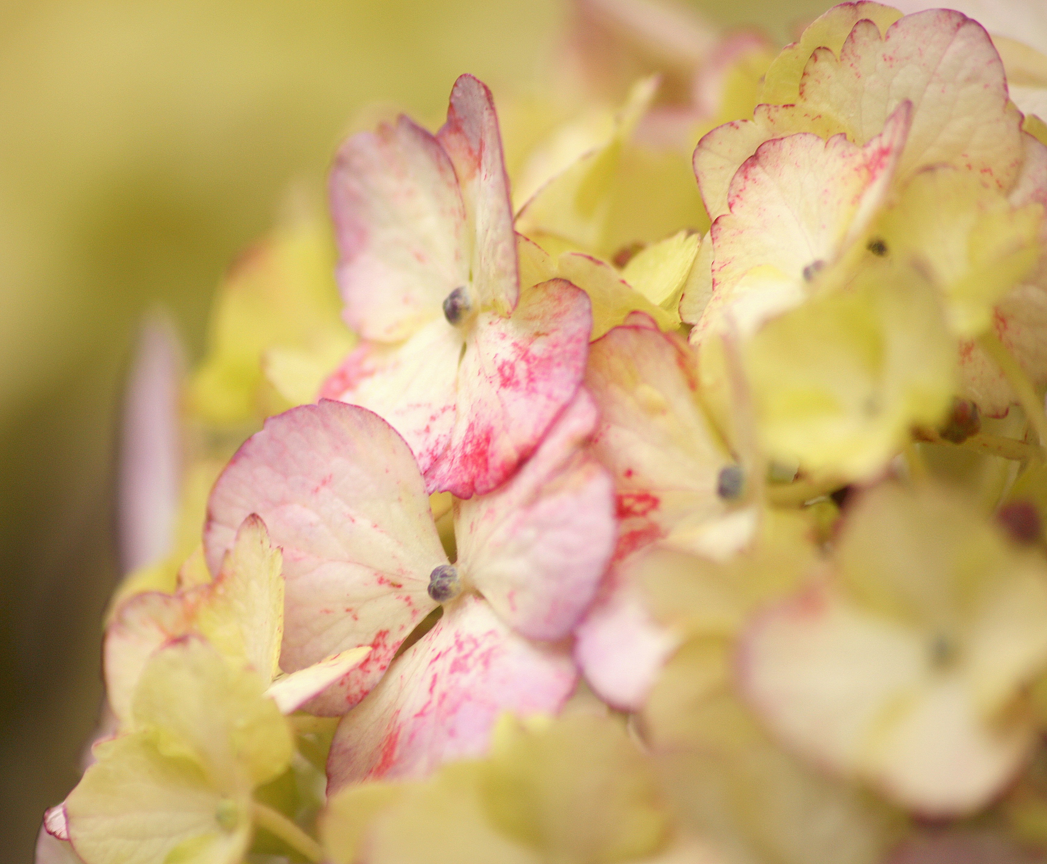 Photo by leonoverweel