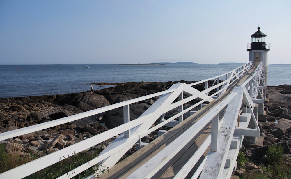 brown wooden dock near body of water