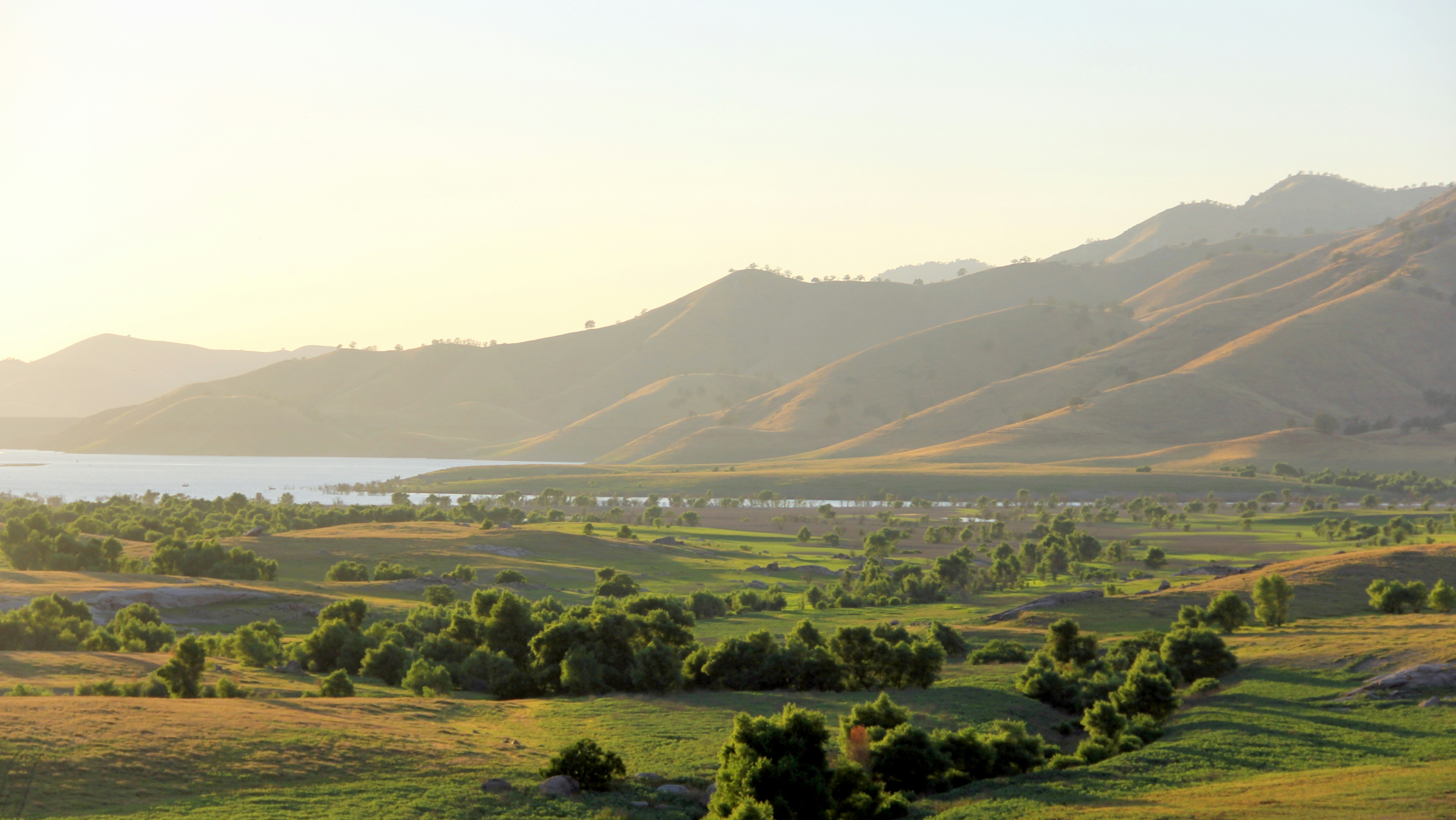 Pradera cerca del cuerpo de agua