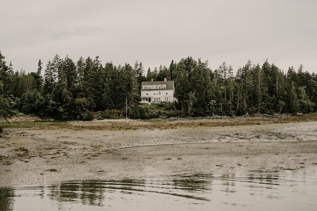 white and brown wooden house