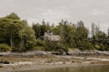 A rustic house nestled among dense green trees on the edge of a rocky shoreline. The surrounding vegetation includes various types of trees, creating a natural and serene environment. The sky is overcast, enhancing the tranquil ambiance. The shoreline is composed of rocks and sparse patches of sand, leading to calm water.