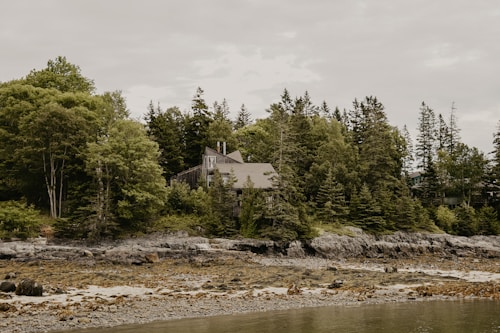 A rustic house nestled among dense green trees on the edge of a rocky shoreline. The surrounding vegetation includes various types of trees, creating a natural and serene environment. The sky is overcast, enhancing the tranquil ambiance. The shoreline is composed of rocks and sparse patches of sand, leading to calm water.