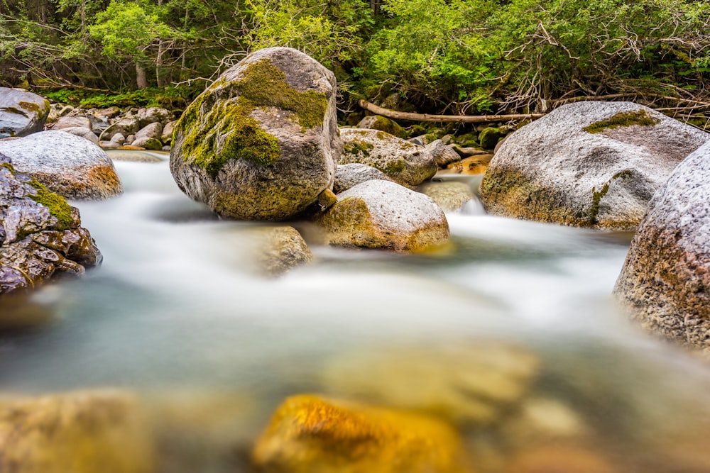 long exposure photography of water stream