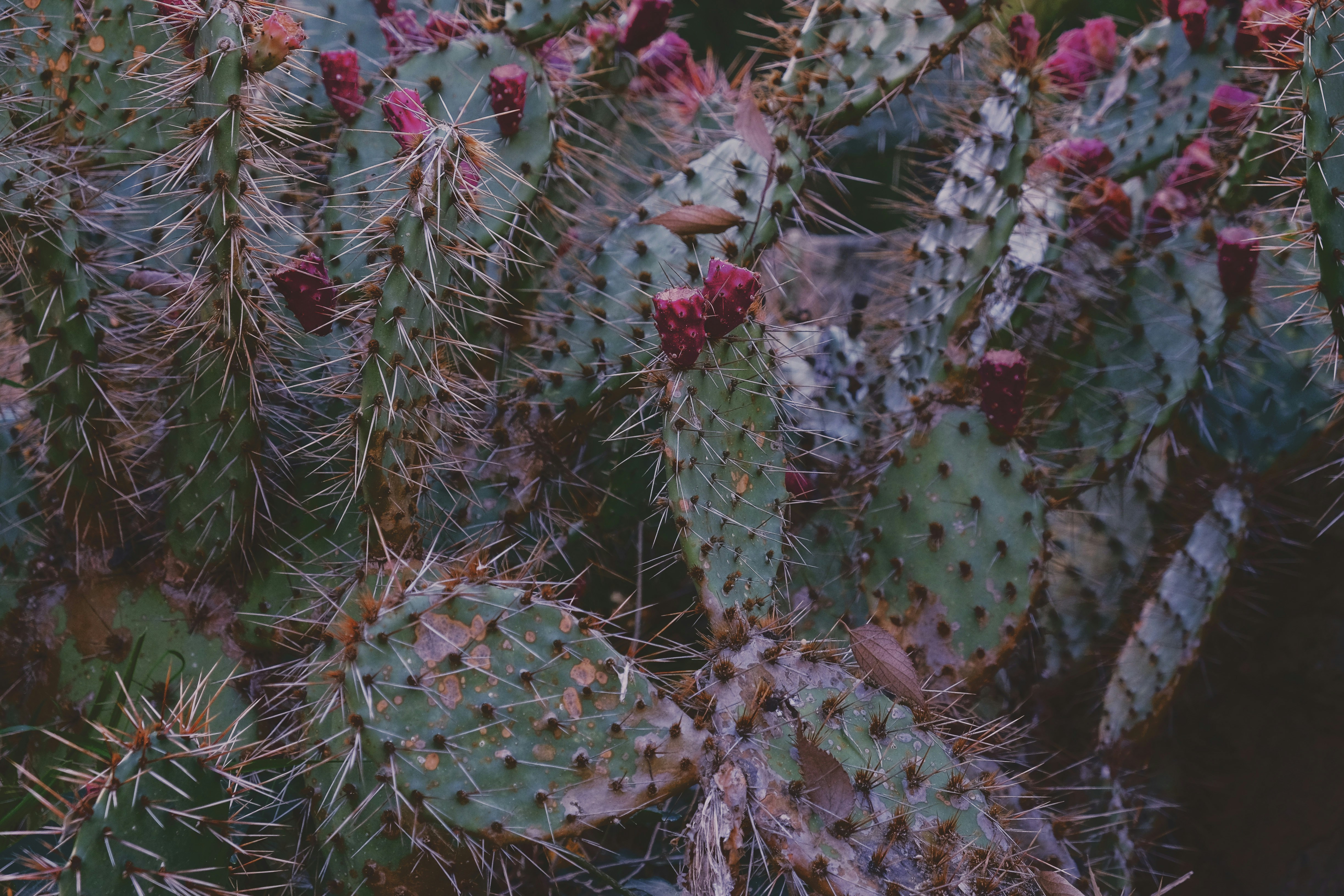 Photo by carolinerccrd