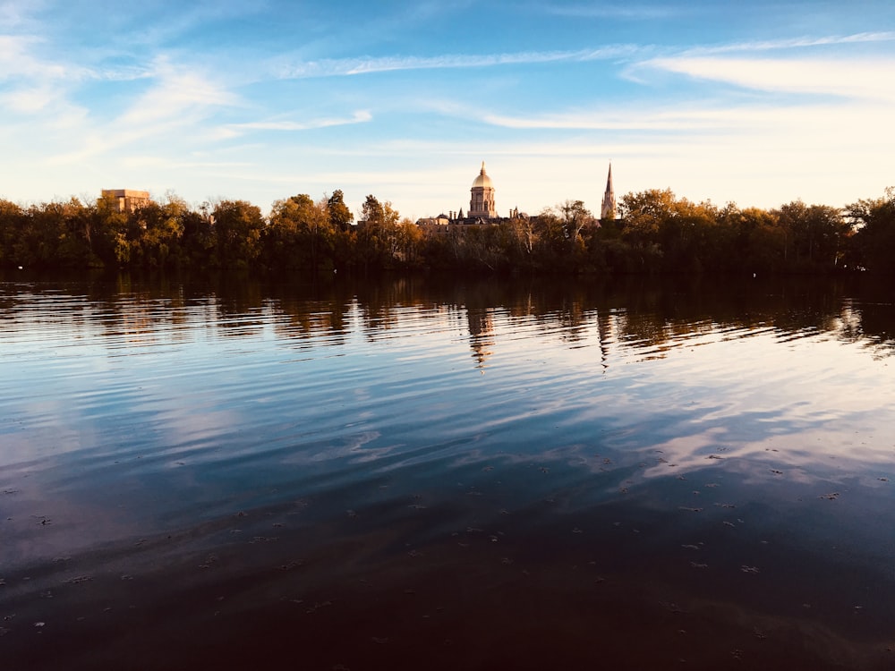 lake near the forest and building during day