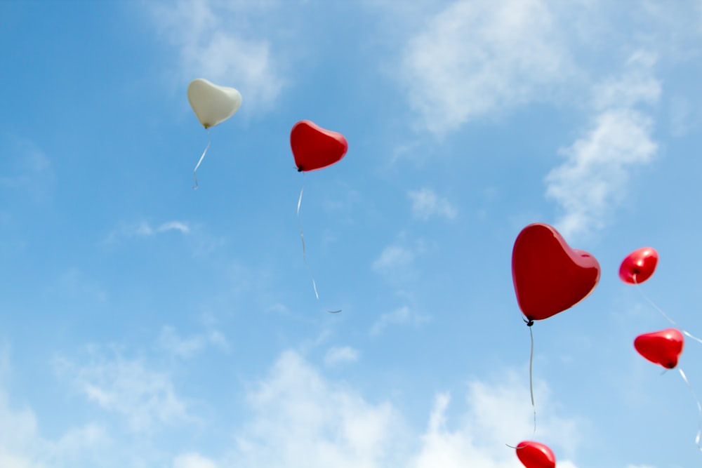 red and white heart balloons