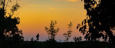 silhouette of person and trees during golden hour haiti teams background