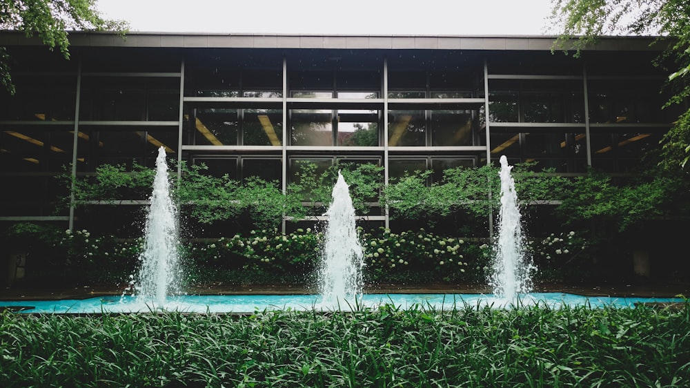 fountain and glass building