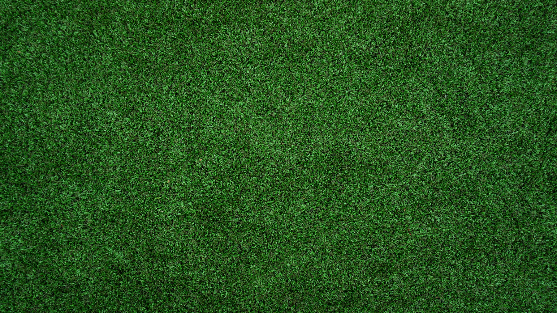 Green sports field background