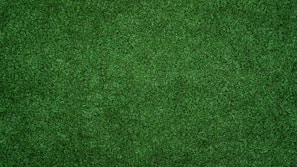 topview of grass lawn