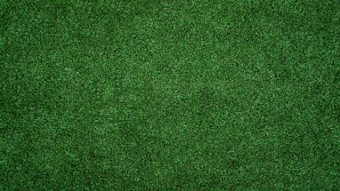 topview of grass lawn