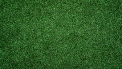 topview of grass lawn