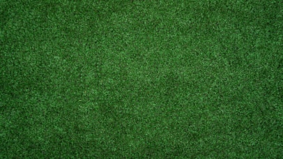 topview of grass lawn