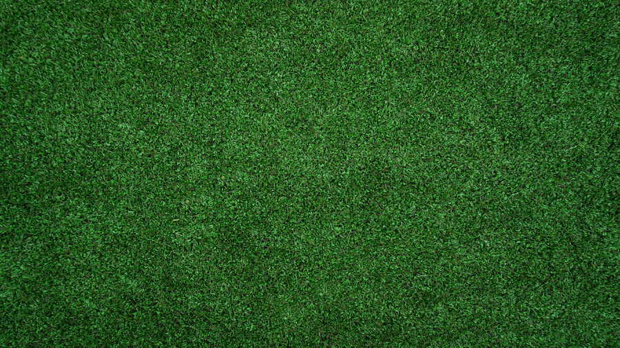 Artificial Turf Installation in Frisco, TX