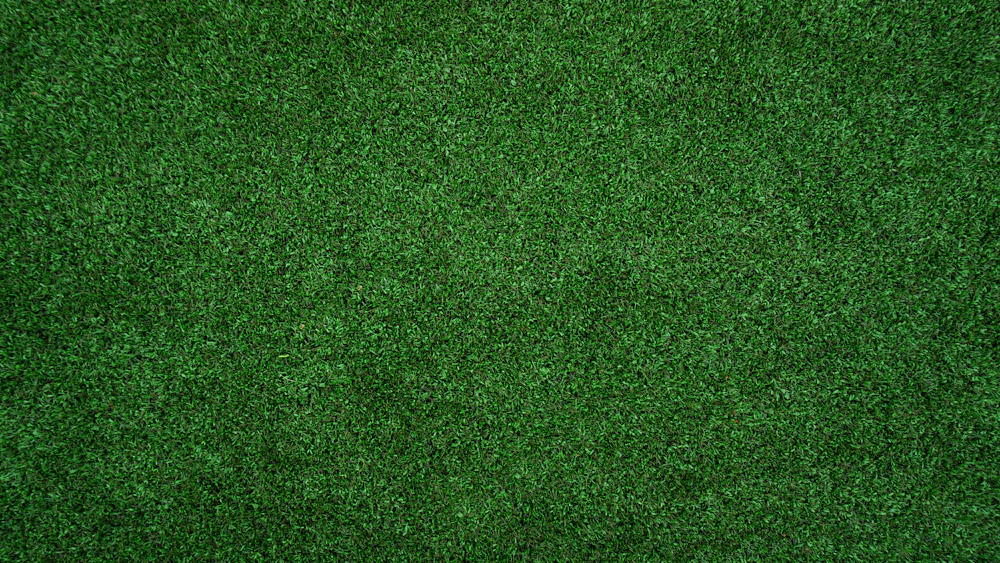 Artificial grass Dubai - Top view of a green lawn