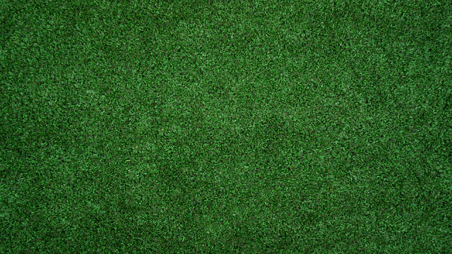 Top view of a green lawn