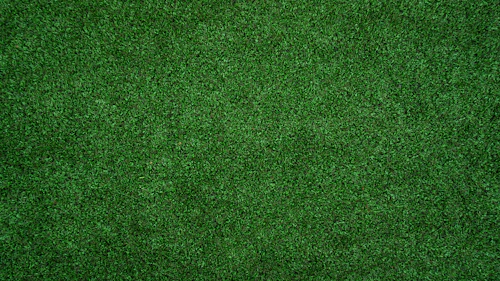 Lush, evenly watered green lawn