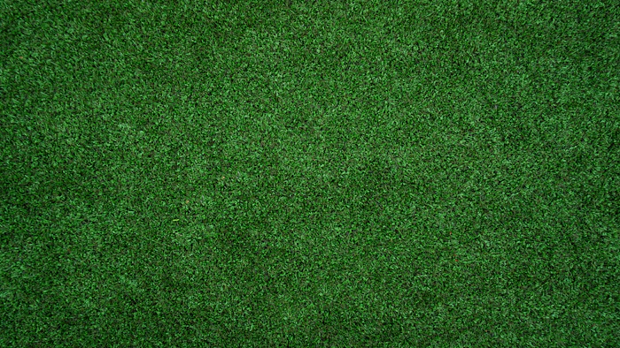 Lush green lawn