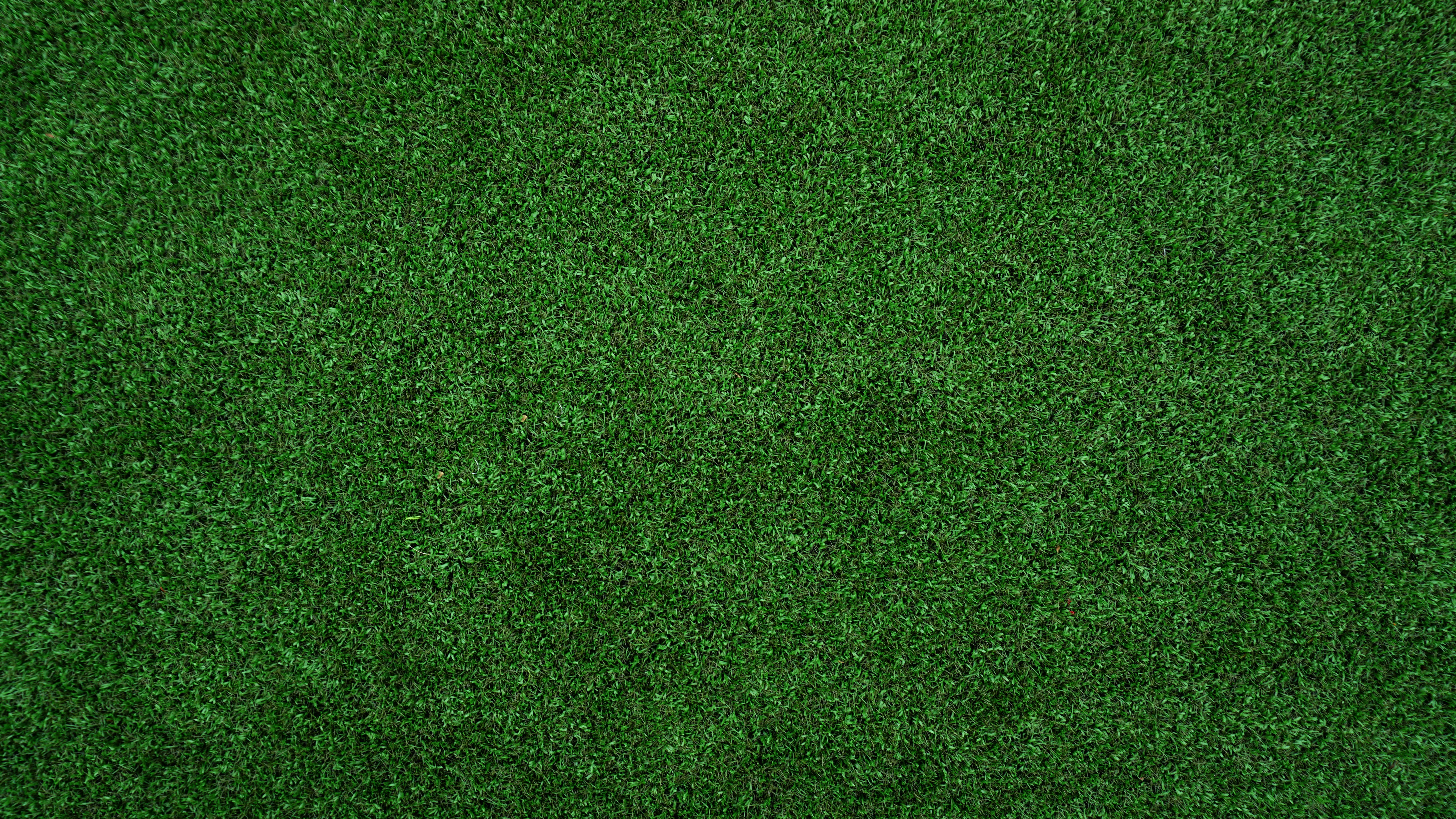 photo-1544914379-806667cd9489?ixlib=rb-4.0.3