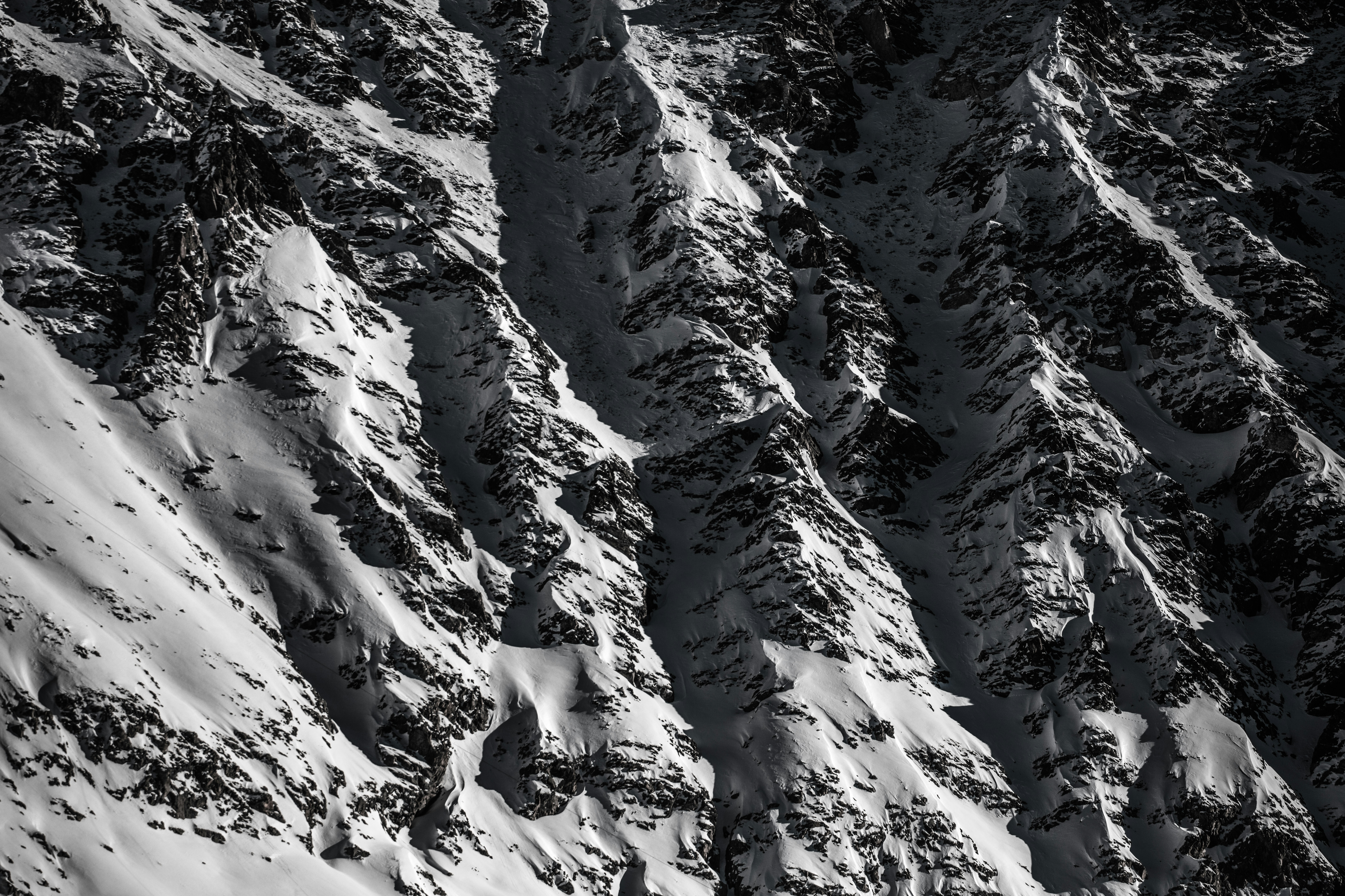 schwarz-weißes Kleid mit Blumenprint