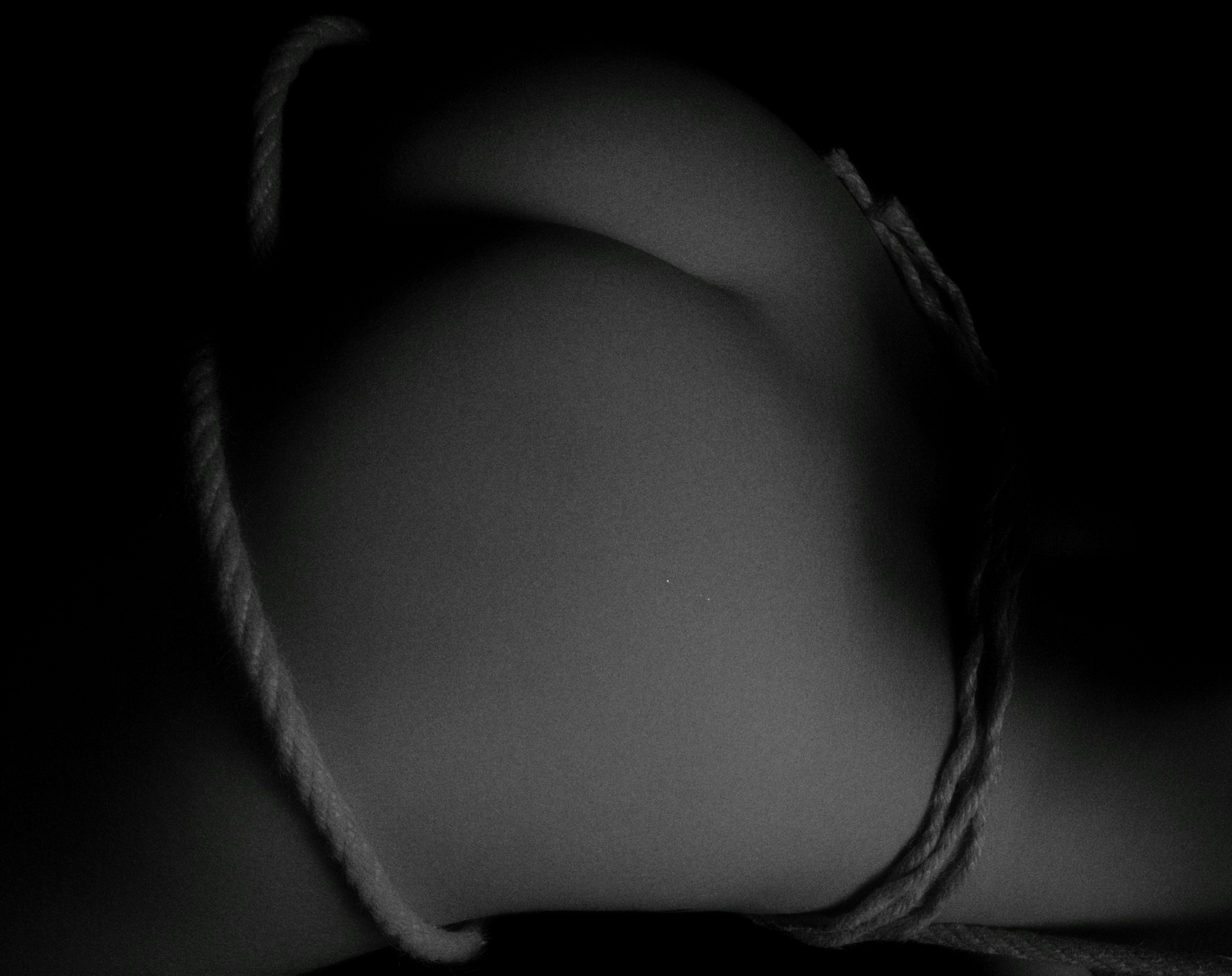 Shibari Embrace Canvas