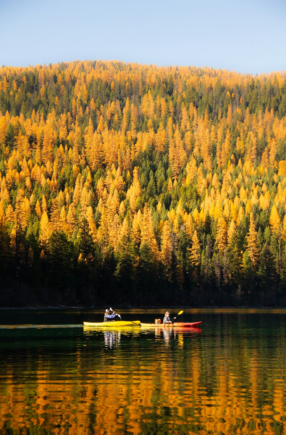 person riding on boat