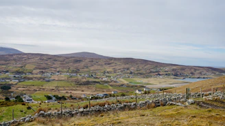 A sweeping view of the lush Irish countryside under soft morning light, with rolling green hills and a distant stone wall.