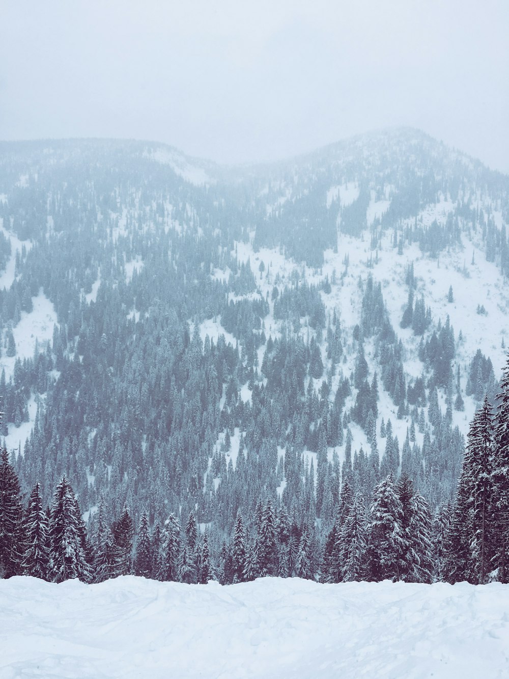 nature photography of snow capped mountain during daytime