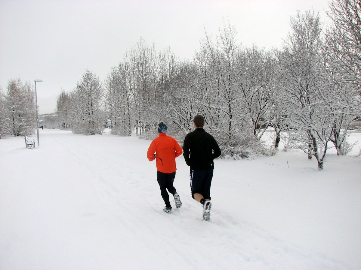 Deux coureurs vus de dos sur un chemin enneigé bordé d'arbres givrés, l'un en veste orange, l'autre en haut noir