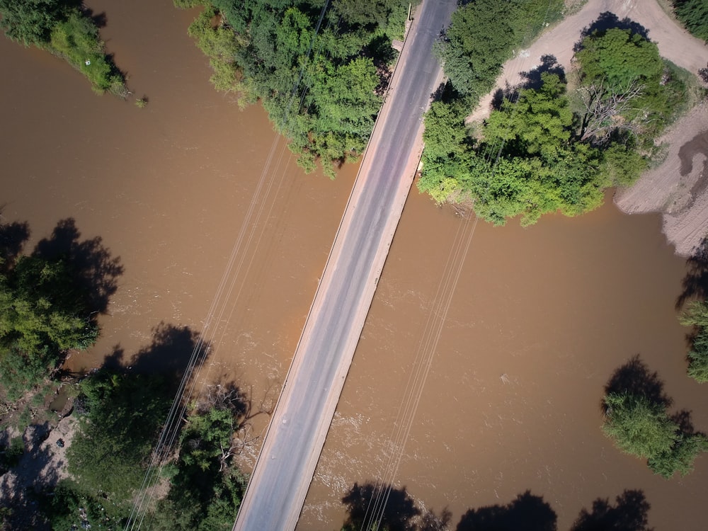 aerial view of grey road over river with trees during daytime