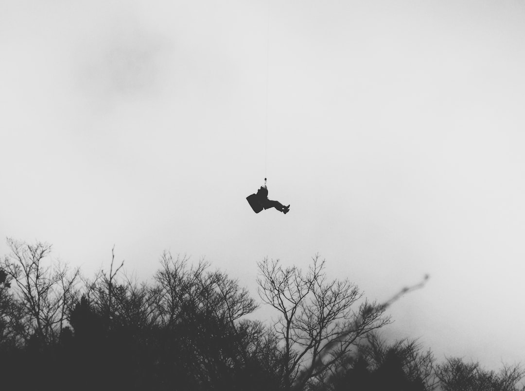 silhouette of trees and trees, Rescue Nightmare