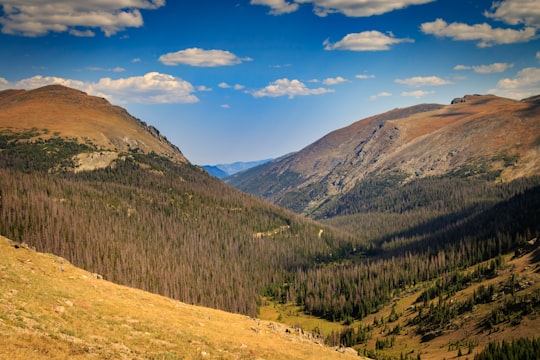 green mountain scenrey in Rocky Mountain National Park United States
