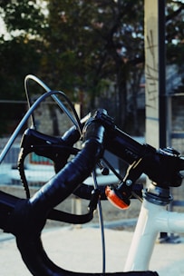 Close-up of ergonomic mountain bike grips and padded gloves resting on handlebars.