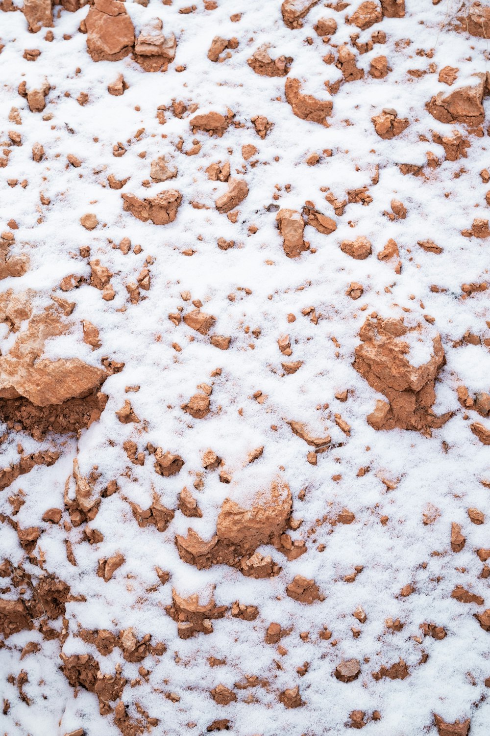 nieve sobre tierra marrón