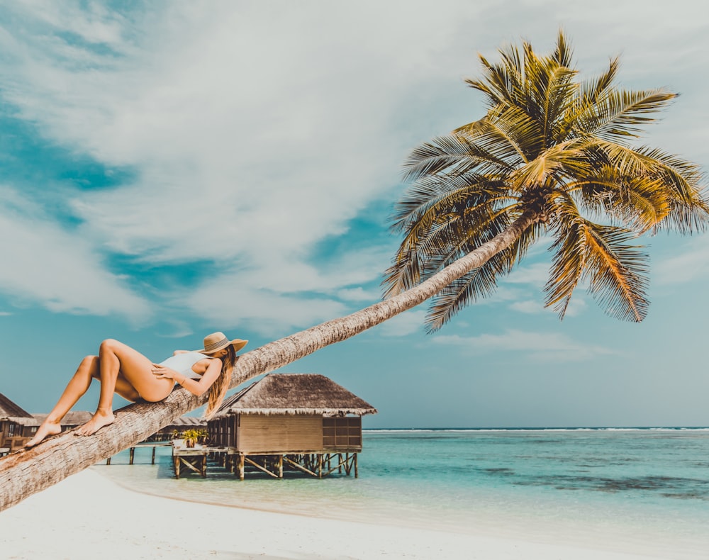 woman lying on coconut tree trunk at beach
