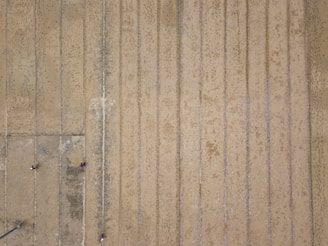 Portrait of Ariel Nunes analyzing grain market data in an agricultural setting.