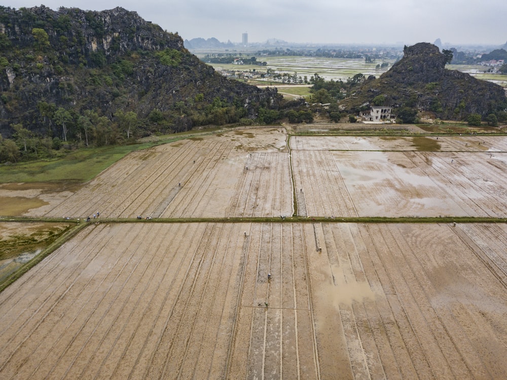 brown farm during daytime